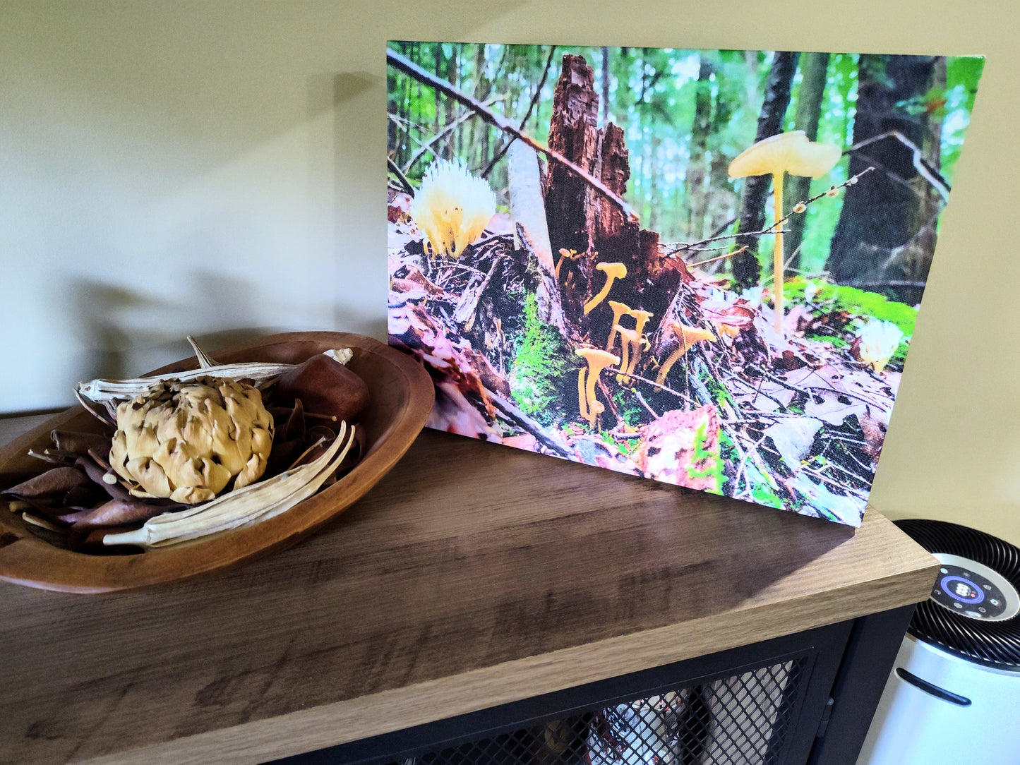 Canvas Print - Hocking Collection 2 - Mushroom Meander