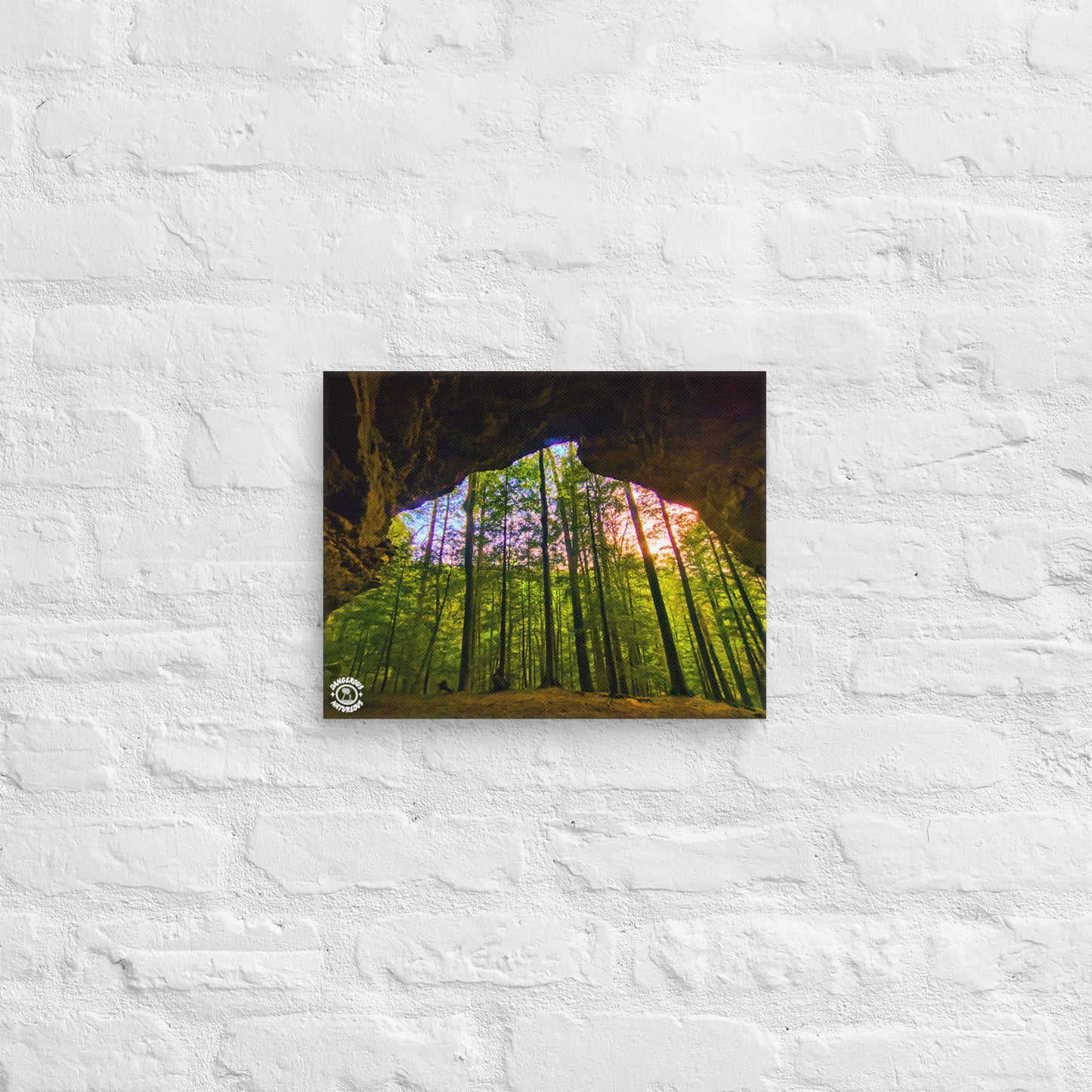Canvas Print - Hocking Collection 1 - Forest Recess Sunset