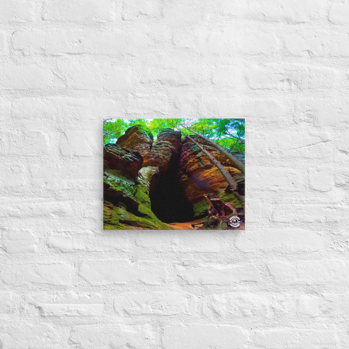 Canvas Print - Hocking Collection 3 - 21 Horse Cave