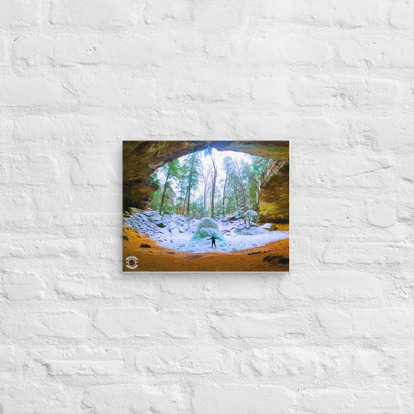 Canvas Print - Hocking Collection 5 - Winter Wonderland